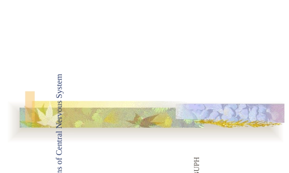 中枢神经系统感染进修医生2010-PPT文档.ppt