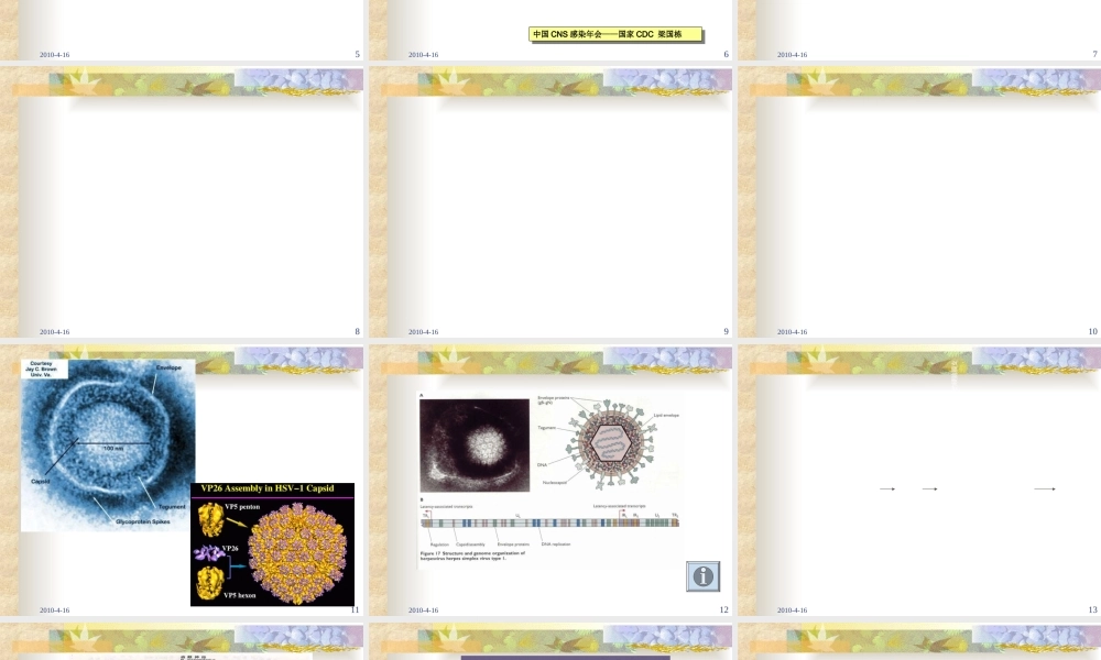 中枢神经系统感染进修医生2010-PPT文档.ppt