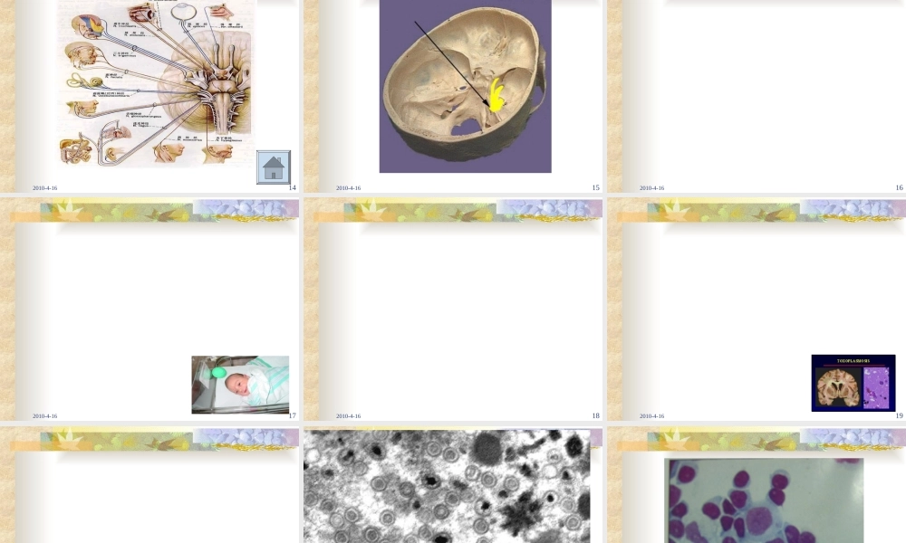 中枢神经系统感染进修医生2010-PPT文档.ppt