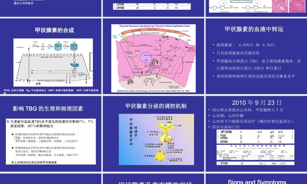 甲状腺病.ppt