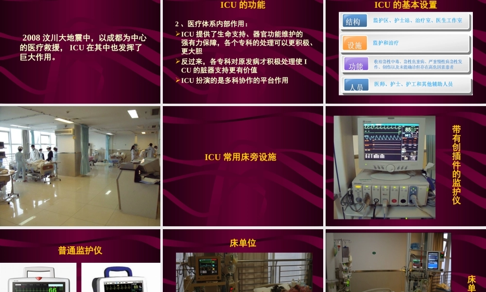 急诊危重症监护.ppt