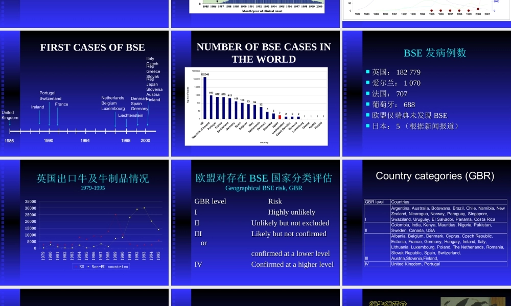 沙龙疯牛病与CJD.ppt