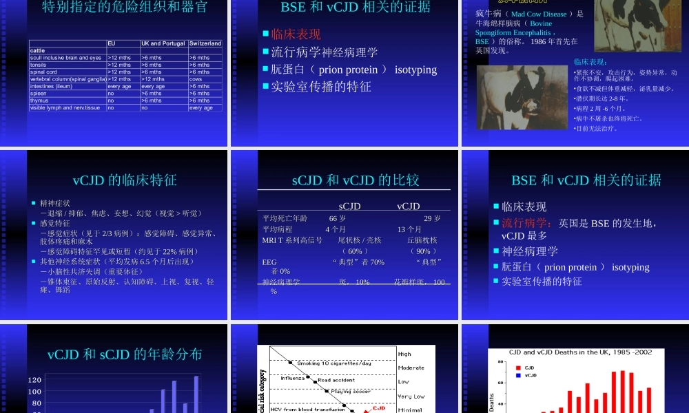 沙龙疯牛病与CJD.ppt
