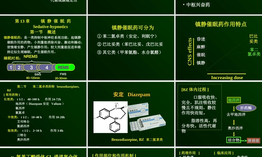 中枢药理本科汇总.ppt