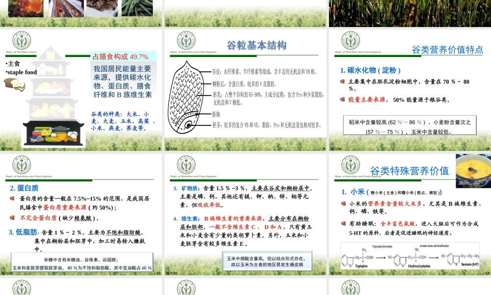 各类食品营养与生.ppt