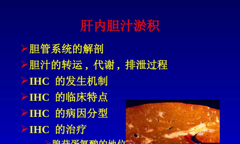 最新肝内胆汁淤积-武汉-PPT文档.ppt