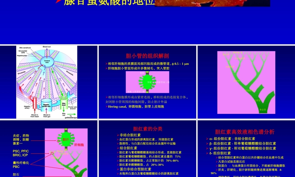 最新肝内胆汁淤积-武汉-PPT文档.ppt