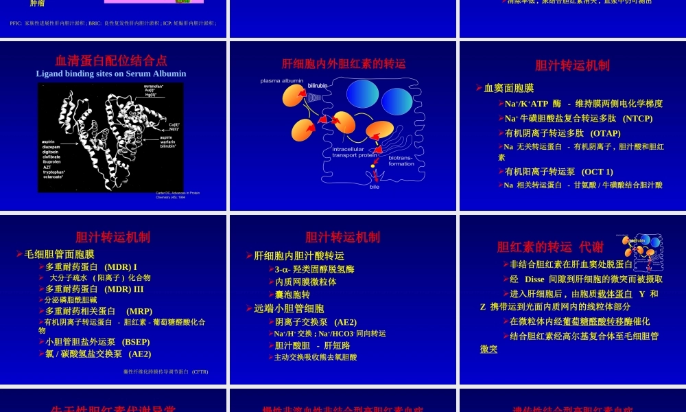 最新肝内胆汁淤积-武汉-PPT文档.ppt