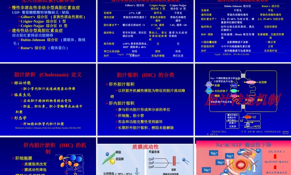 最新肝内胆汁淤积-武汉-PPT文档.ppt