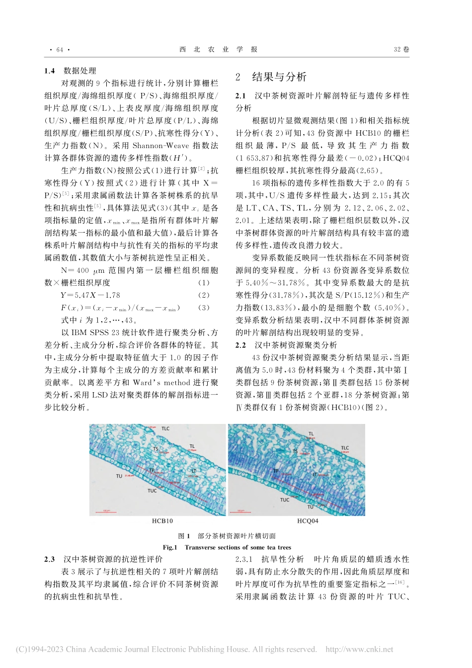 43份汉中茶树种质资源叶片解剖结构分析_李佼.pdf_第3页