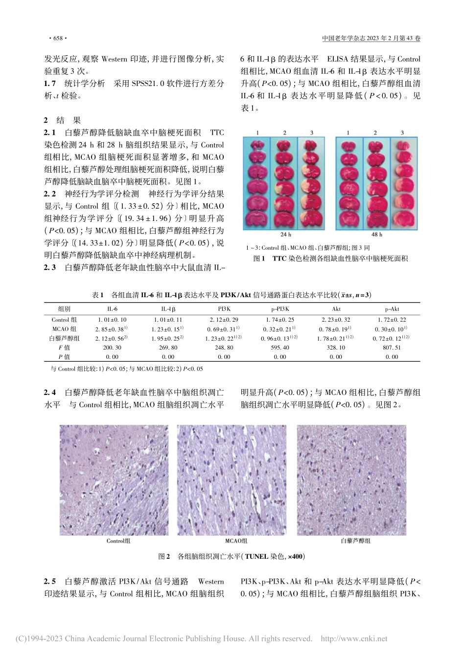白藜芦醇激活PI3K_Ak...、IL-1β含量的分子机制_王瑜.pdf_第3页