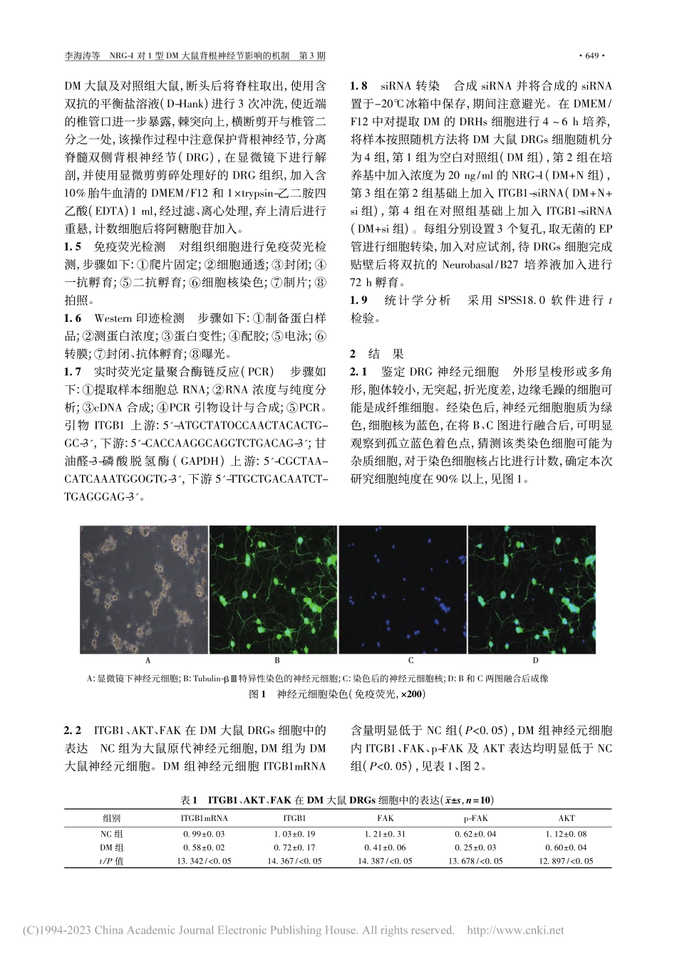 NRG-1对1型DM大鼠背根神经节影响的机制_李海涛.pdf_第2页