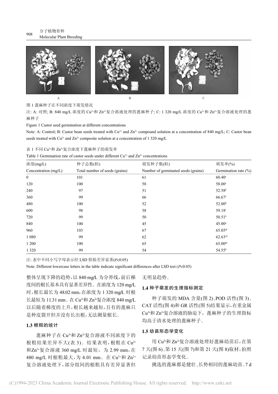 蓖麻种子萌发和幼苗生长对重金属铜锌离子胁迫响应_文艳鹏.pdf_第3页