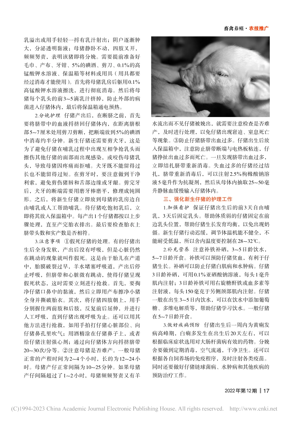 哺乳仔猪管理工作要点_贺格生.pdf_第2页