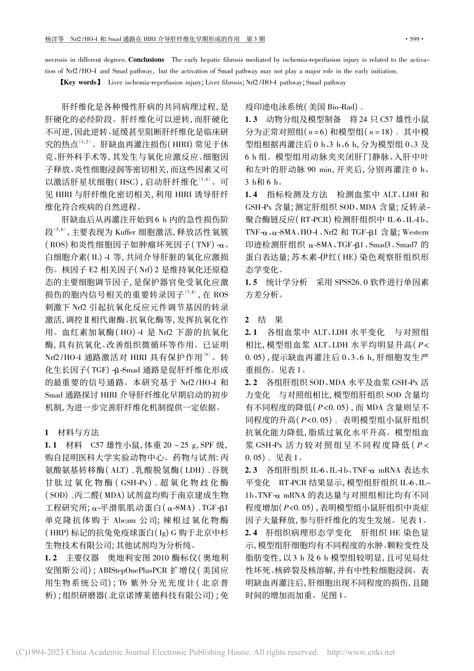 Nrf2_HO-1和Sma...介导肝纤维化早期形成的作用_杨洋.pdf_第2页