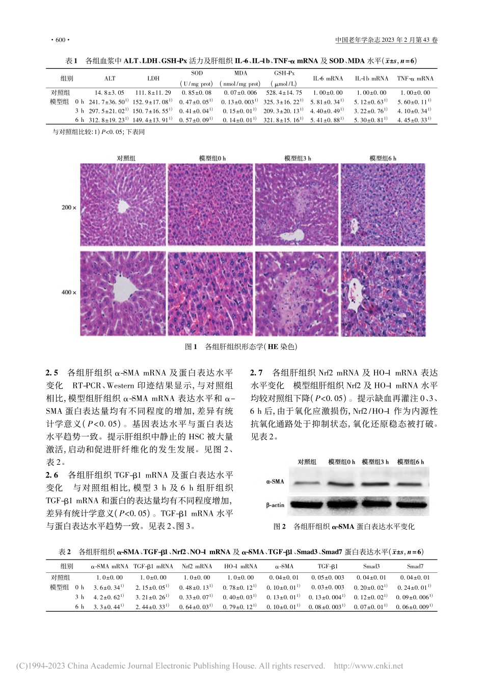 Nrf2_HO-1和Sma...介导肝纤维化早期形成的作用_杨洋.pdf_第3页