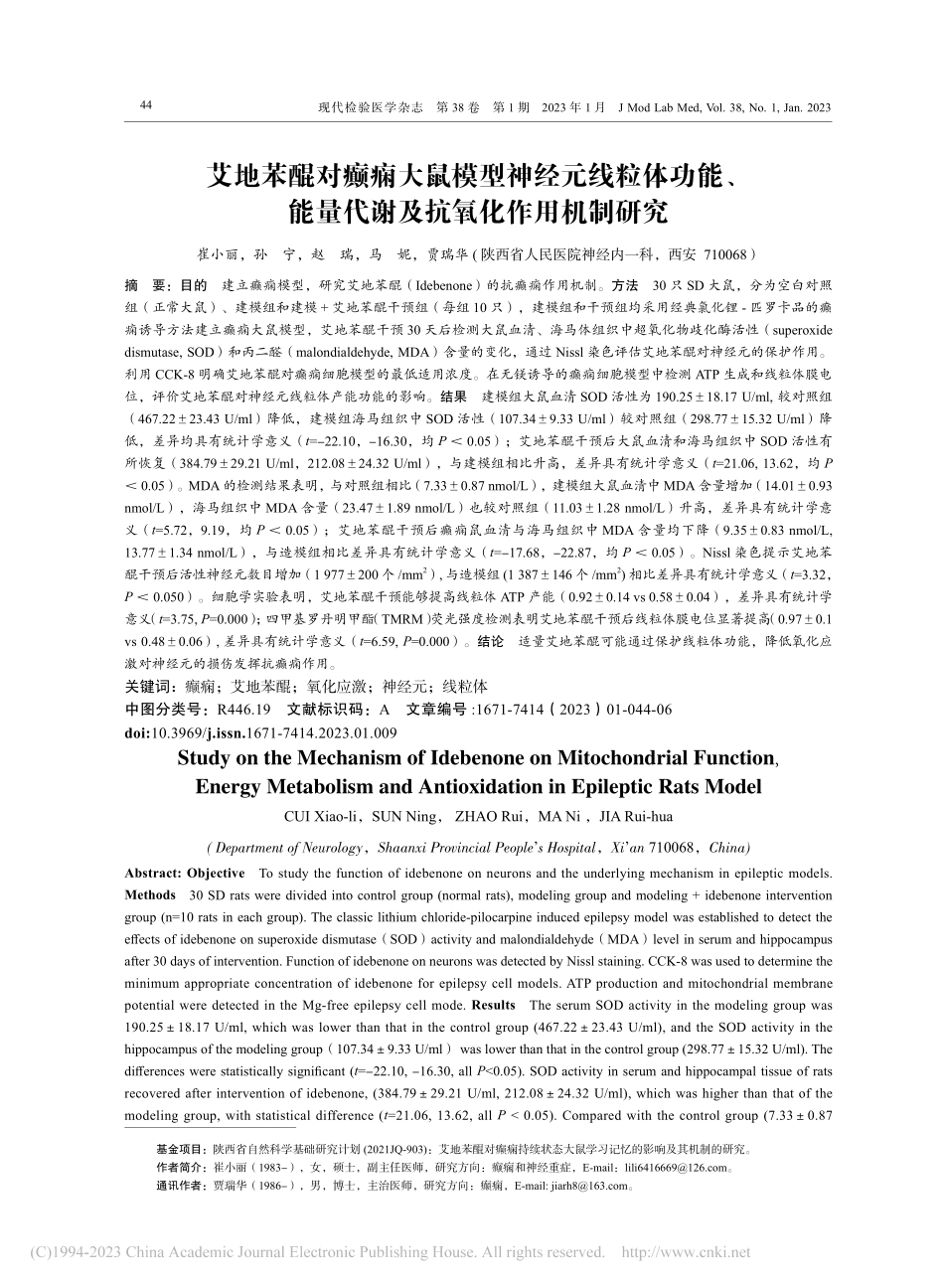 艾地苯醌对癫痫大鼠模型神经...量代谢及抗氧化作用机制研究_崔小丽.pdf_第1页
