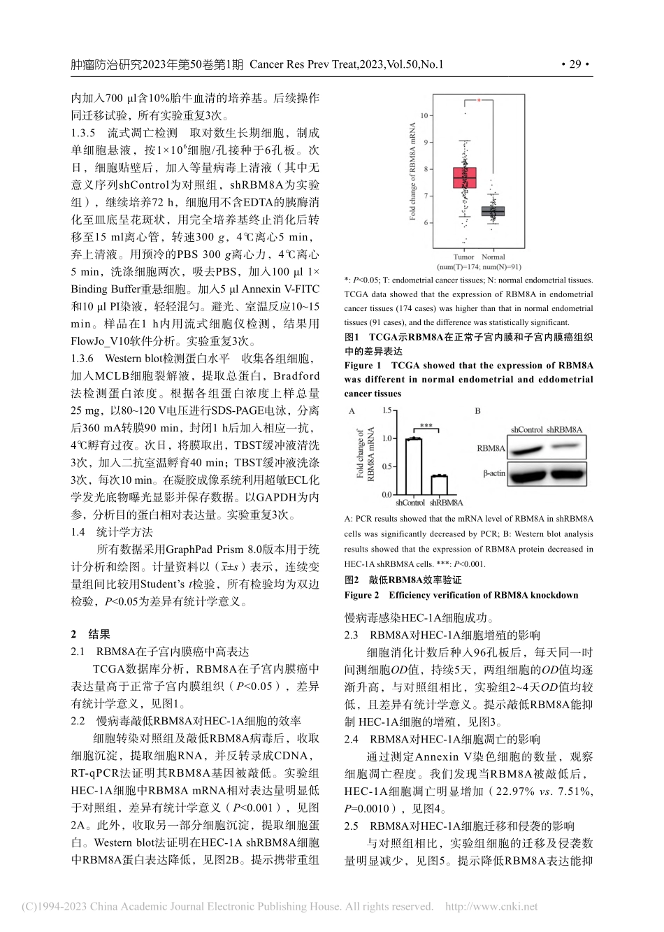 RBM8A基因对子宫内膜癌...、迁移和凋亡的作用及其机制_谭冬梅.pdf_第3页