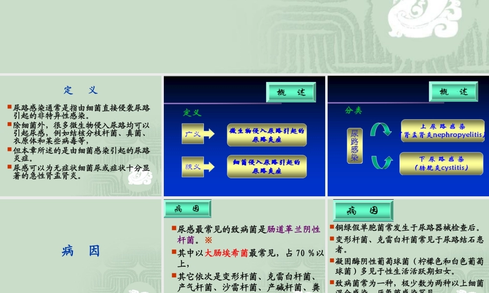 尿路感染(urinary.ppt