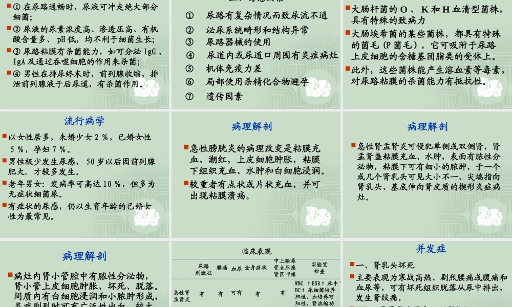 尿路感染(urinary.ppt