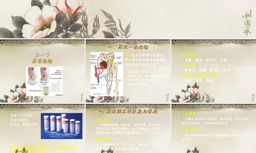 排泄物、分泌物及体液检验.ppt.ppt