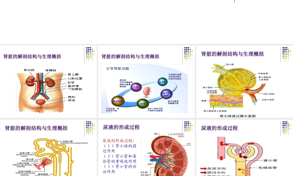 尿液检查分析.ppt