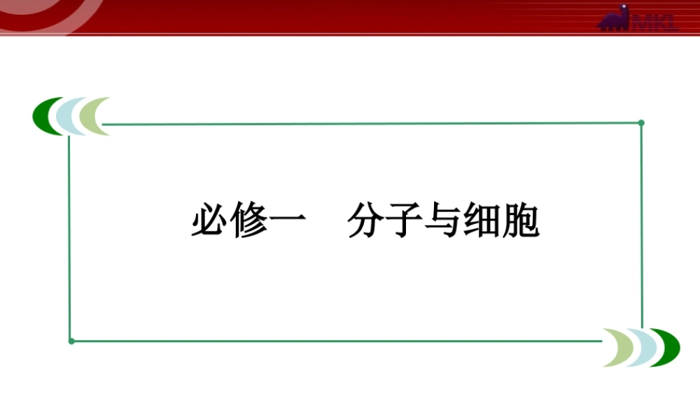 必修1-3-1细胞代谢中的酶和ATP分解.ppt