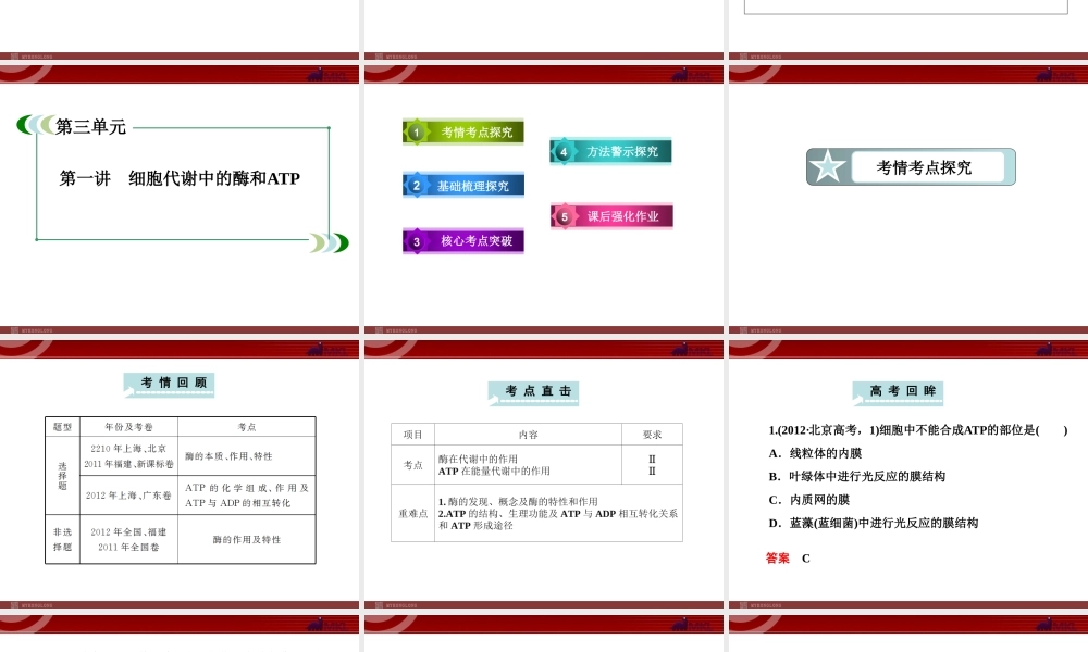 必修1-3-1细胞代谢中的酶和ATP分解.ppt