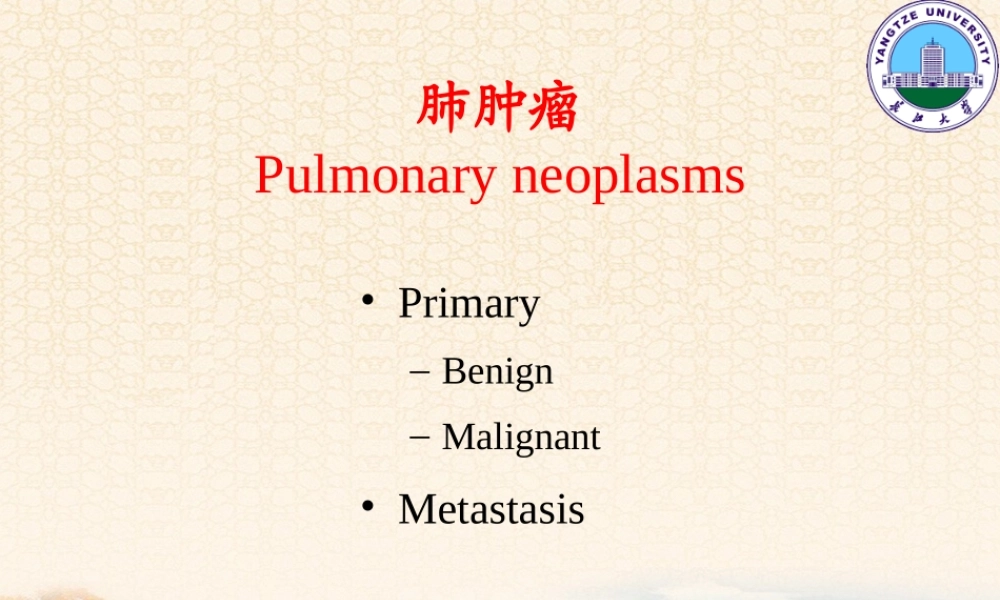 呼吸系统2(影像-).ppt