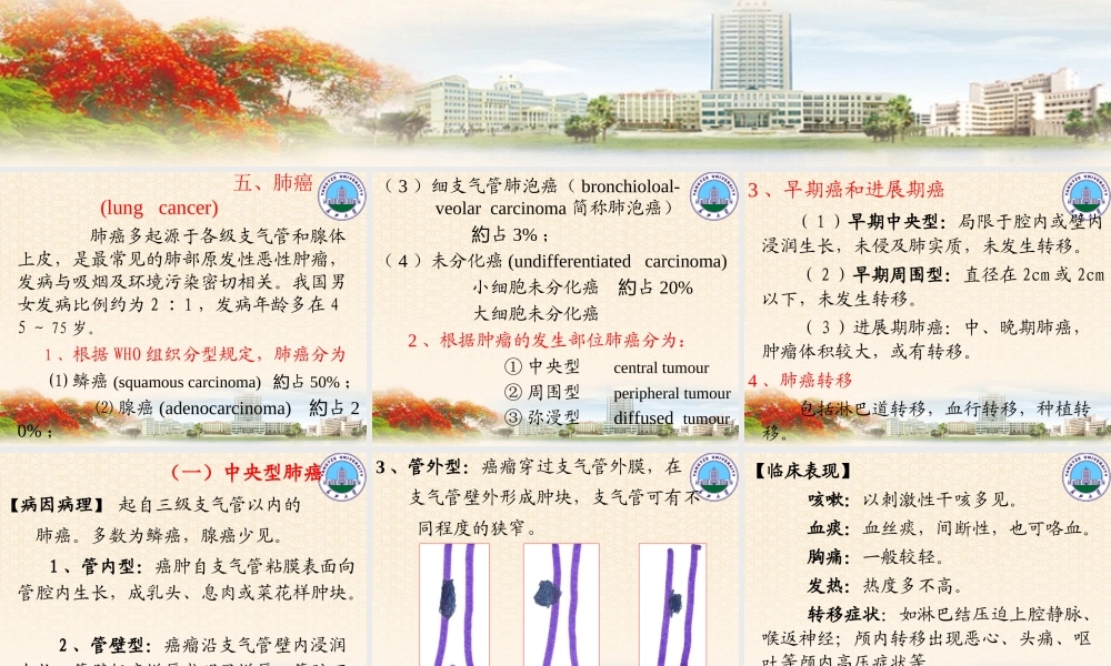 呼吸系统2(影像-).ppt