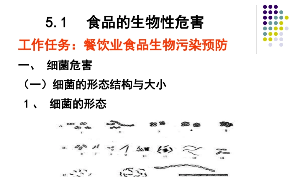 食品营养与安全-单元-食品安全基础.ppt