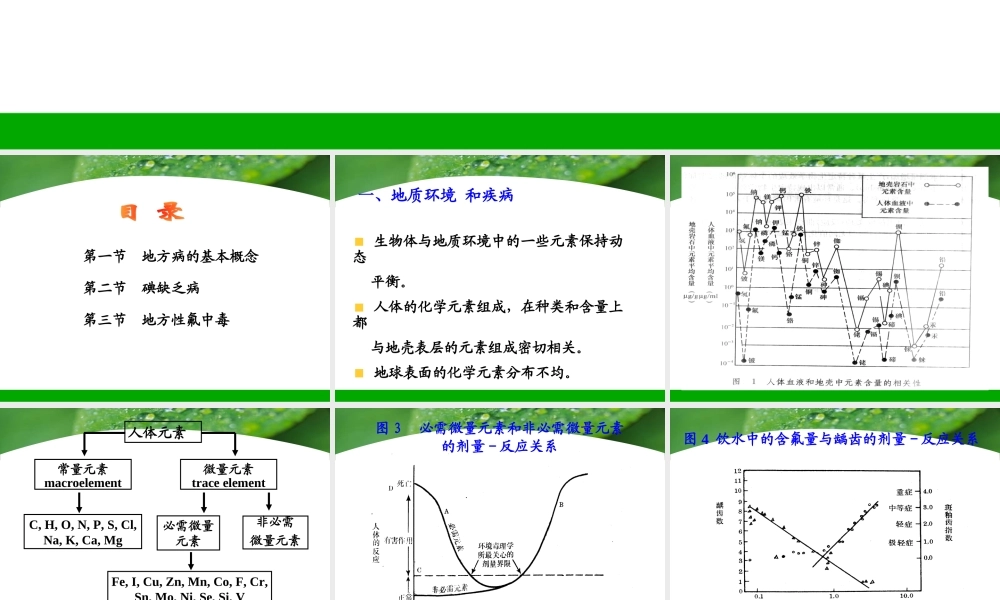 地方病20170302.ppt