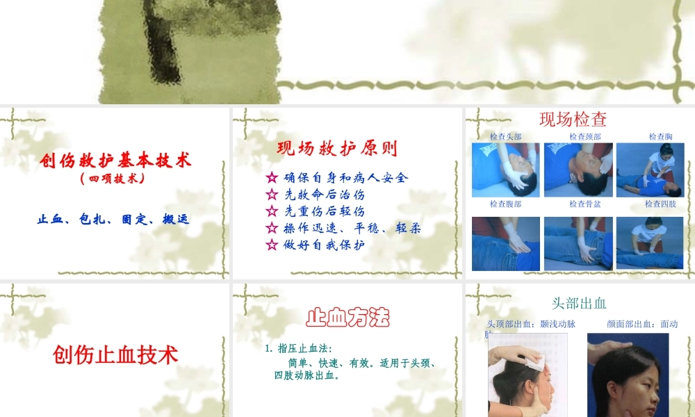 救护新概念-江门红十字会.ppt