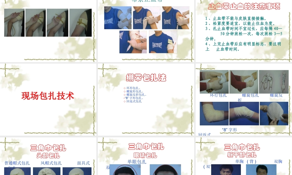 救护新概念-江门红十字会.ppt