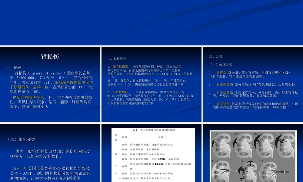 泌尿系统损伤.ppt