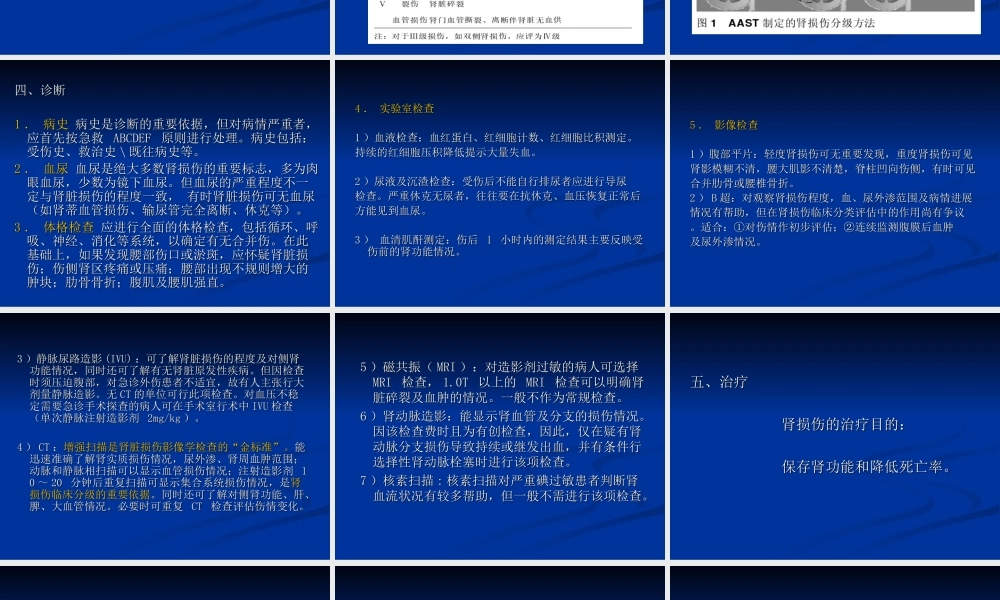 泌尿系统损伤.ppt