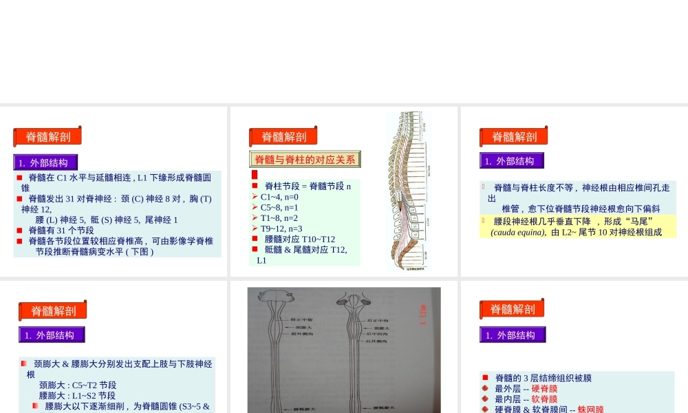j神经病学脊髓病变.pptx