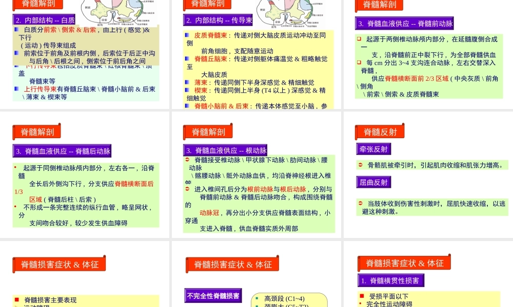 j神经病学脊髓病变.pptx