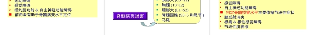 j神经病学脊髓病变.pptx