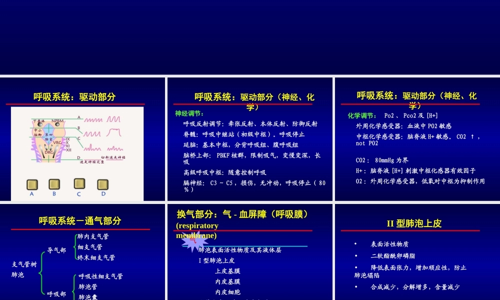呼吸系统急重症.ppt