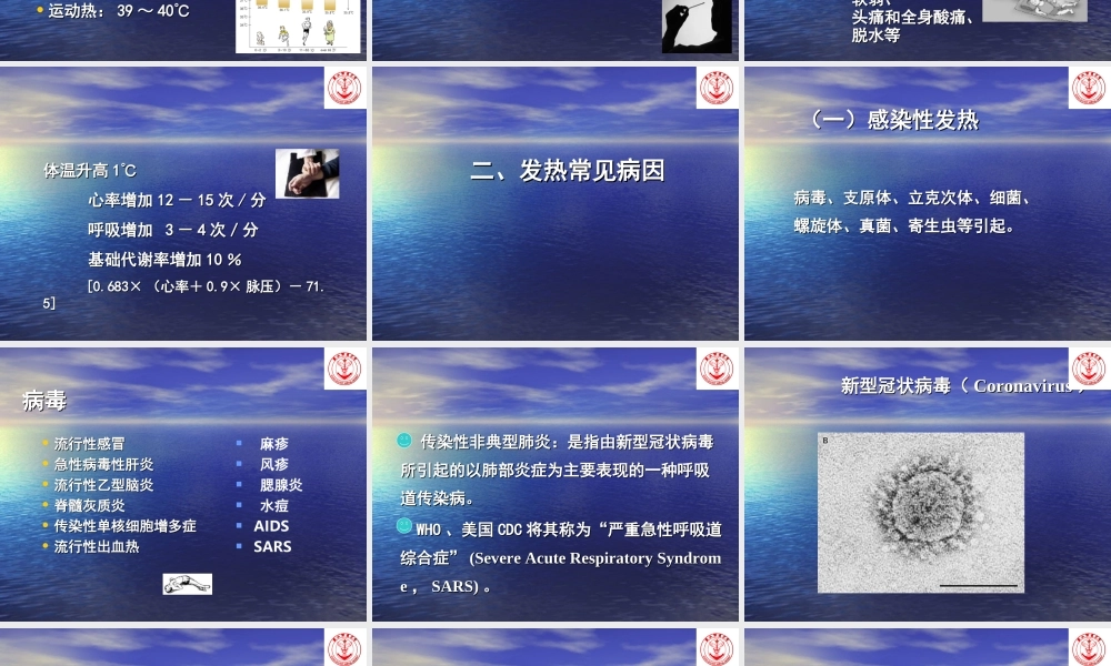 基层连队常见症状.ppt