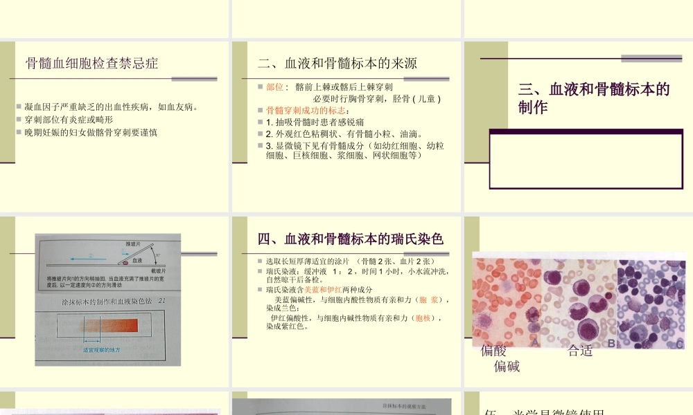 血细胞形态学讲义.ppt