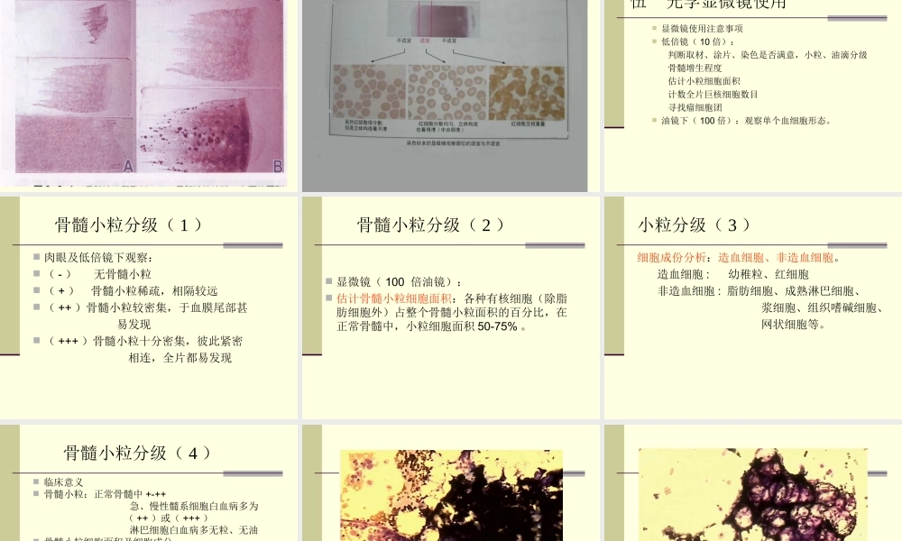 血细胞形态学讲义.ppt