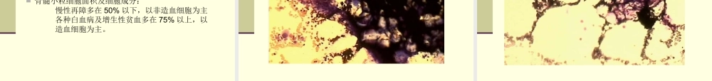 血细胞形态学讲义.ppt