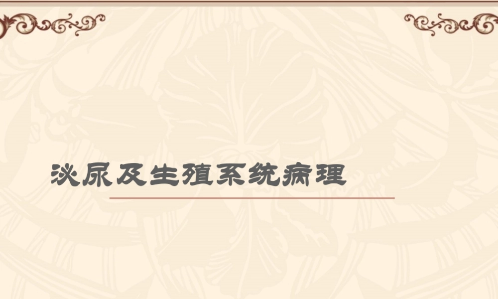 泌尿与生殖系统.ppt