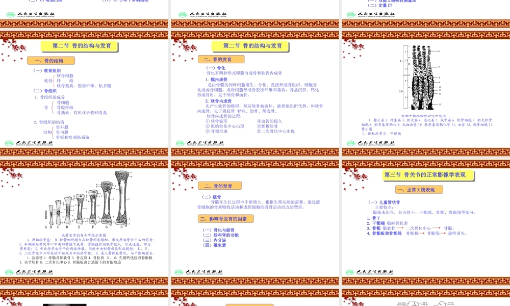 《骨伤科影像学》第一章总论.ppt