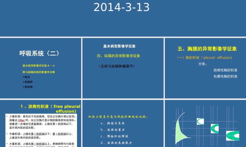 呼吸系统二-3.13.ppt