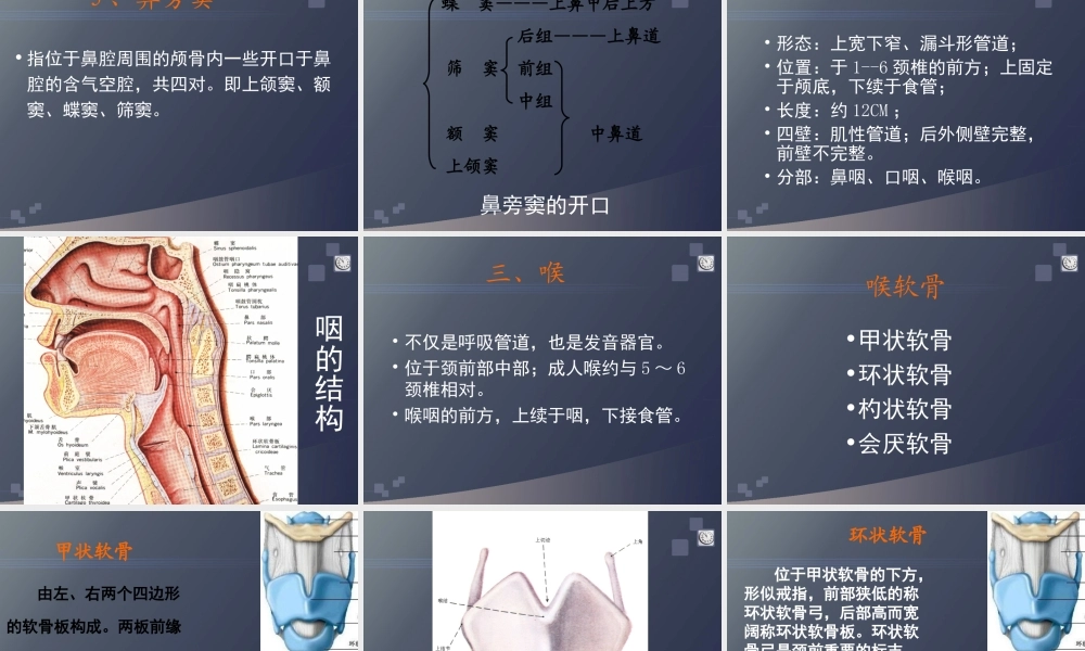 正常人体学-第六章-呼吸系统.ppt