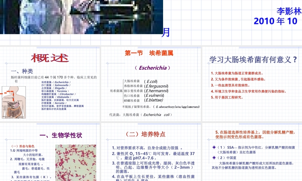 海医第10章--肠杆菌科-1.ppt