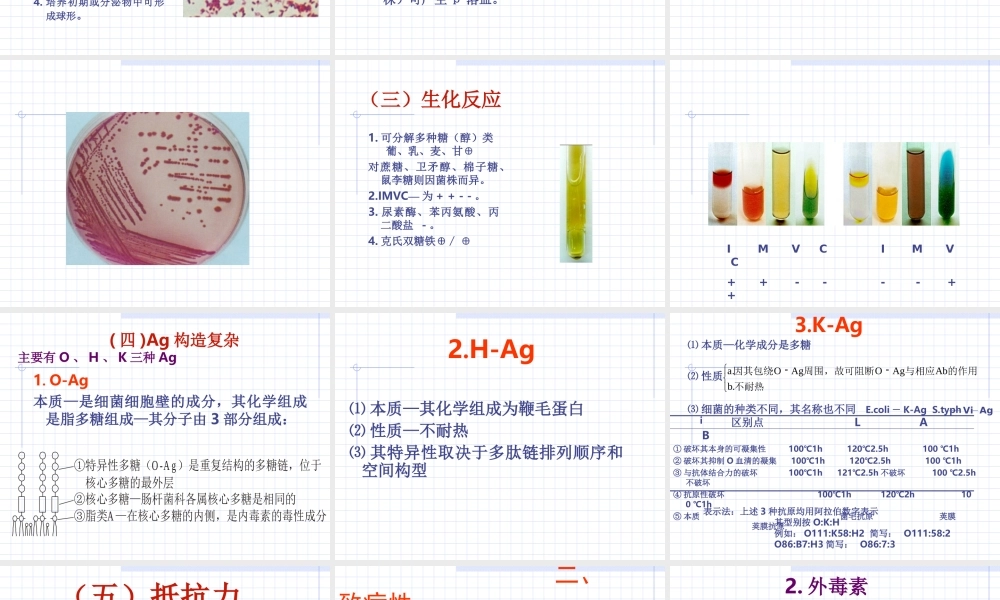 海医第10章--肠杆菌科-1.ppt